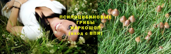 тгк Баксан