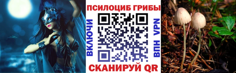 Галлюциногенные грибы ЛСД  Козельск 